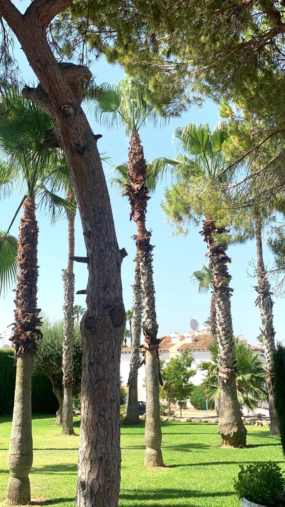 Lagovista45 Torrevieja Bagian luar foto